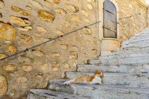 Eine Katze macht es sich auf einer Treppe in Ermoupolis gemütlich