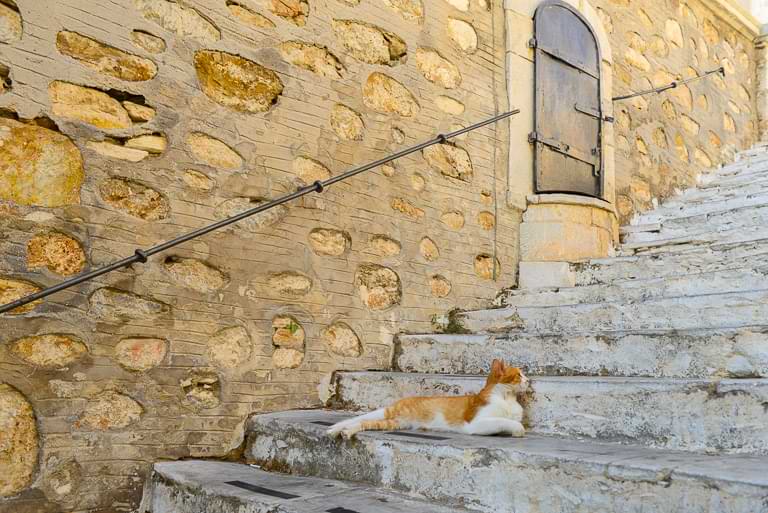Eine Katze macht es sich auf einer Treppe in Ermoupolis gemütlich
