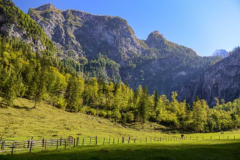 Obersee, Fischunkelalm, Röthbachfall