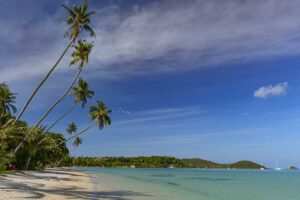 Ao Soun Yai Beach, Koh Mak, schönste Strände, schräge Palmen