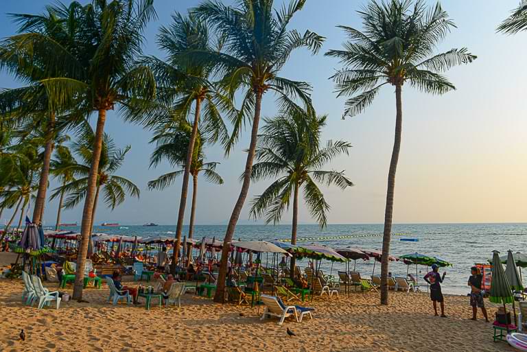 Jomtien Beach, Pattaya, Strände, Thailand, Palmen