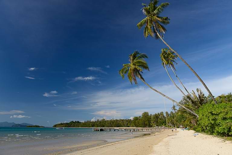 Koh Mak, Strände, Ao Soun Yai Beach, schräge Kokospalmen