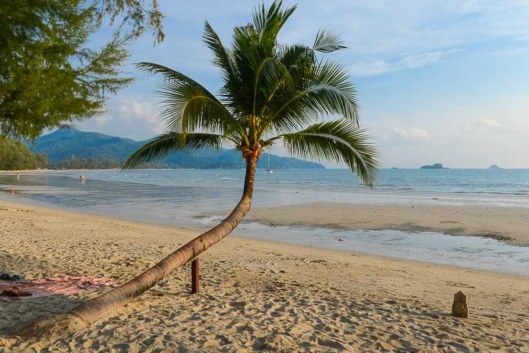 Schräge Palme, Chai Chet Beach, Koh Chang, Strände