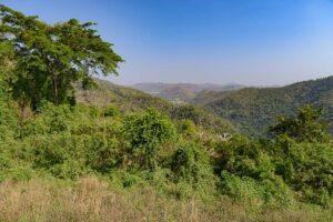 30 km Viewpoint, Khao Yai National Park, Thailand, Aussichtspunkt, Wald