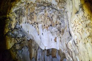 Bat Cave, Fledermaushöhle, Khao Yai National Park, Thailand, Pak Chong