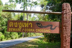 Beware Cobra Crossing, Straßenschild, Khao Yai National Park, Thailand