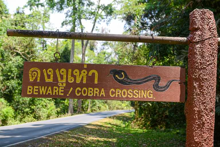 Beware Cobra Crossing, Straßenschild, Khao Yai National Park, Thailand