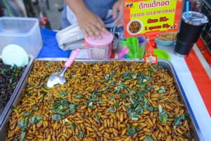 frittierte Seidenraupen, Ayutthaya Night Market, Thai-Food, Streetfood, Insekten