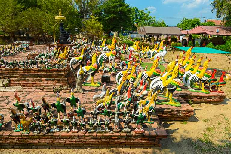 Hühnerstatuen, Wat Thammikarat, Ayutthaya, Tempel