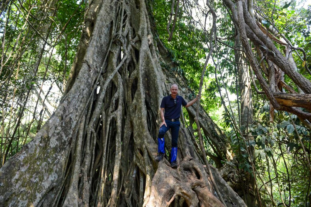 Khao Yai National Park, Thailand, Khao-Yai-Nationalpark, Reisebericht, riesige Baumwurzeln, Urwald, Heiko Meyer