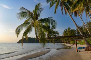 Khlong Chao Beach, Koh Kood, schönste Strände, Koh Kut, Palmen