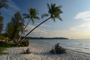 Khlong Chao Beach, Koh Kood, Thailand, Palmen