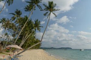 Palmen, Ao Tapao Beach, Koh Kood, Strände