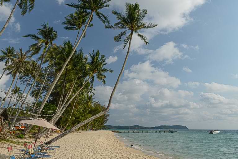 Palmen, Ao Tapao Beach, Koh Kood, Strände