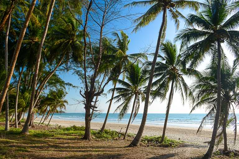 Palmenhain, Thung Wua Laen Beach, Chumphon, Strände