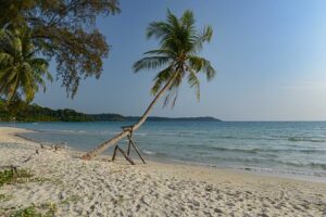 Schräge Palme, Secret Sunset Beach, Koh Kood, schönste Strände, Thailand