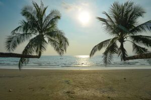 Schräge Palmen, Khlong Chao Beach, Koh Kood, Strände