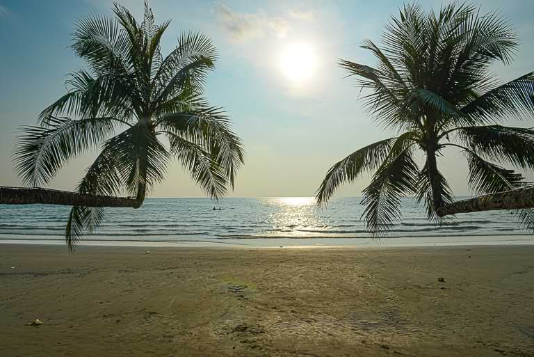 Schräge Palmen, Khlong Chao Beach, Koh Kood, Strände