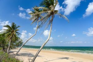 schräge Palmen, Saphli Beach, Chumphon, Strände