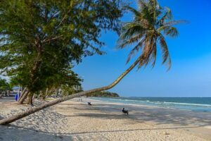 Thung Wua Laen Beach, Chumphon, Strände, schräge Palme