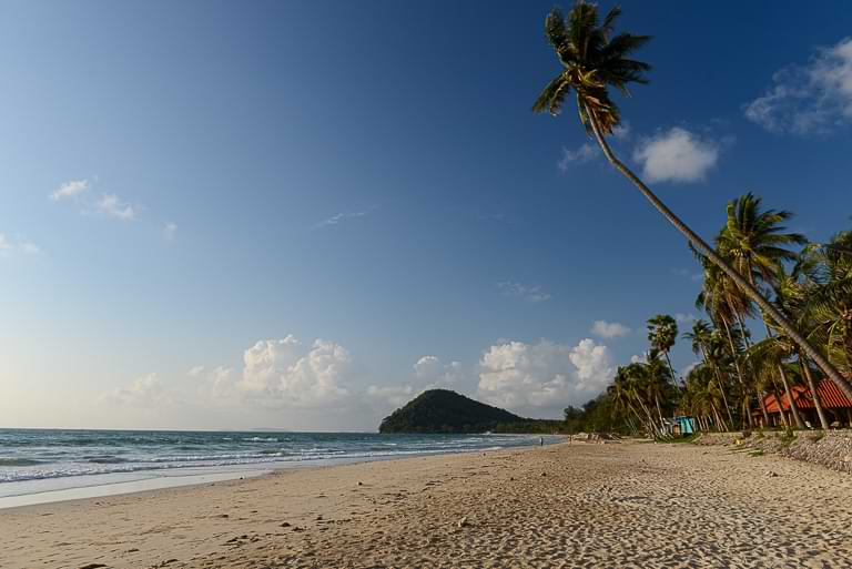 Thung Wua Laen Beach, Chumphon, Thailand, Strände, schräge Palme