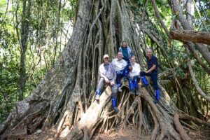 Tour, Khao Yai National Park, riesiger Baum, Wurzel, Tagesausflug
