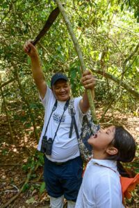 Wasser aus Lianen trinken, Khao Yai National Park, Thailand, Tour