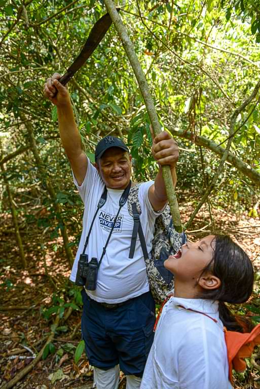 Wasser aus Lianen trinken, Khao Yai National Park, Thailand, Tour