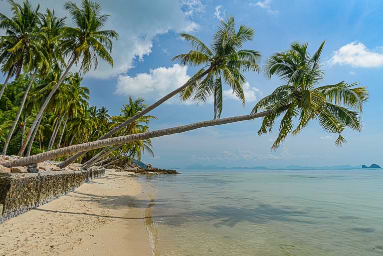 Taling Ngam Beach, Koh Samui, schönste Strände, schräge Kokospalmen