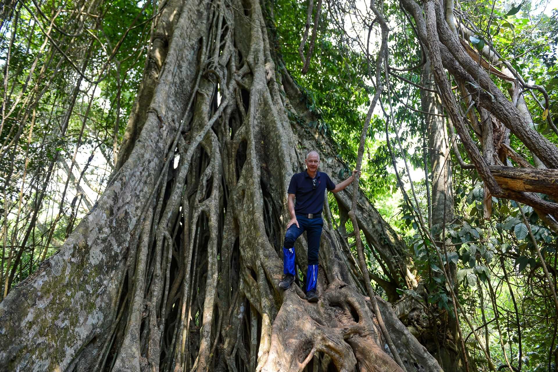 Khao Yai National Park, Thailand, Khao-Yai-Nationalpark, Reisebericht, riesige Baumwurzeln, Urwald, Heiko Meyer